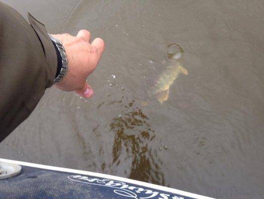 post-1327-0-47570100-1412595637_thumb.jp