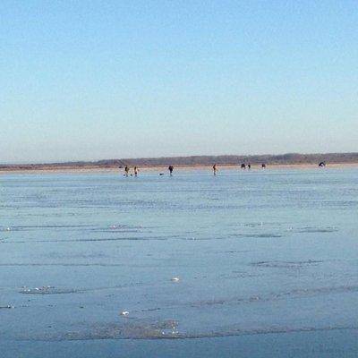 post-1327-0-68988500-1414152612_thumb.jp