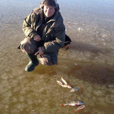 post-1327-0-72187600-1414152650_thumb.jp