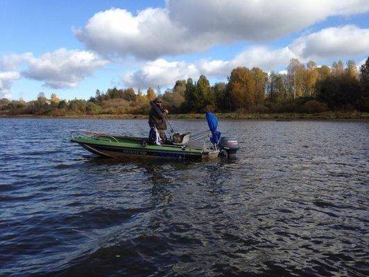 post-1327-0-72456100-1412595726_thumb.jp