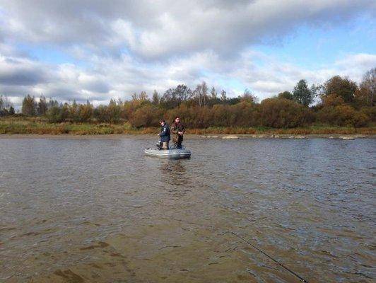 post-1327-0-81188800-1412595685_thumb.jp