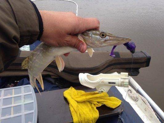 post-1327-0-81290300-1412595606_thumb.jp