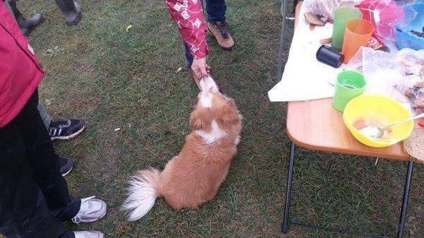 post-1979-0-41265700-1412608918_thumb.jp