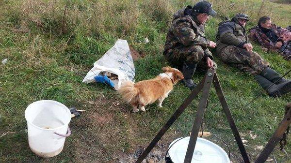 post-1979-0-59573200-1412608712_thumb.jp