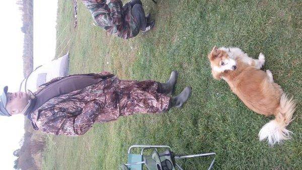 post-1979-0-75173400-1412608916_thumb.jp