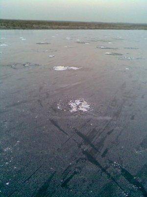 post-1067-0-90483800-1417281644_thumb.jp