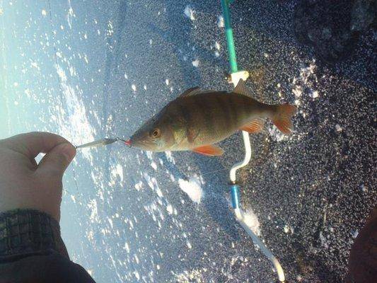 post-1163-0-39131300-1417359968_thumb.jp