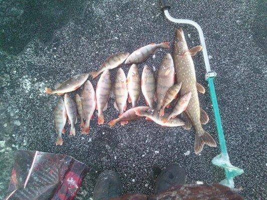 post-1163-0-70295800-1417360031_thumb.jp