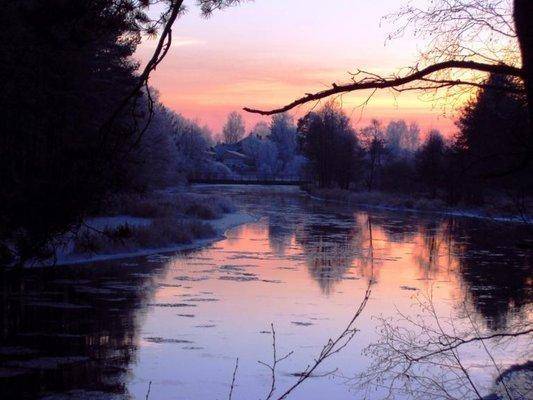 post-1502-0-13019200-1416496517_thumb.jp