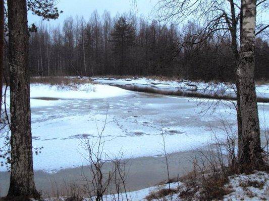 post-1502-0-07339800-1418812209_thumb.jp