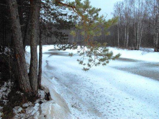 post-1502-0-31586100-1418812266_thumb.jp