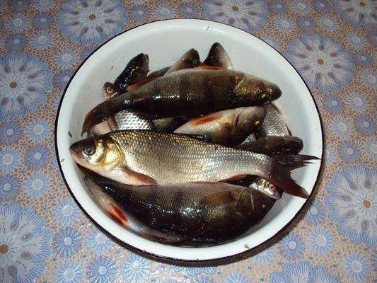 post-1502-0-74629700-1418571286_thumb.jp