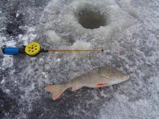 post-1808-0-12698100-1417437093_thumb.jp