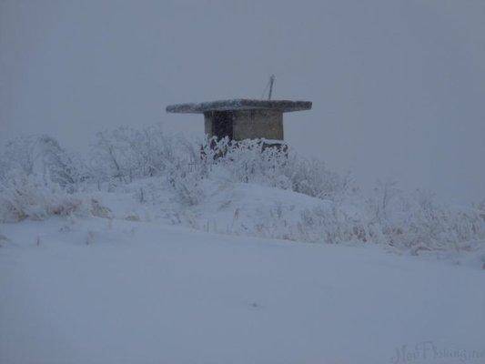 post-1808-0-36304100-1419938987_thumb.jp