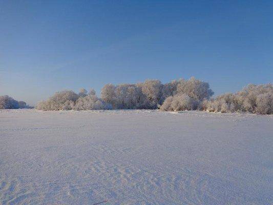 post-1808-0-52270100-1419938913_thumb.jp