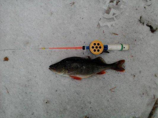 post-2025-0-94539900-1418924442_thumb.jp