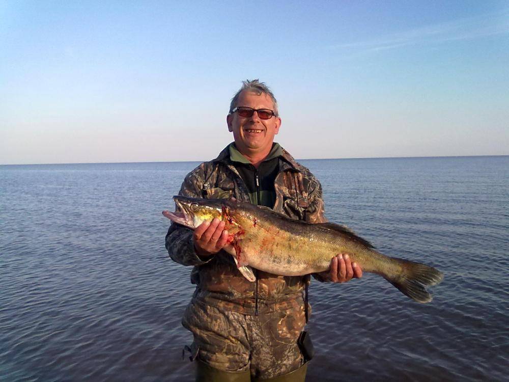 осень 2015 099.jpg