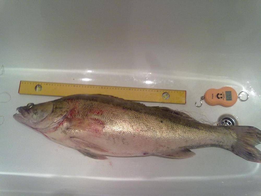 осень 2015 385.jpg