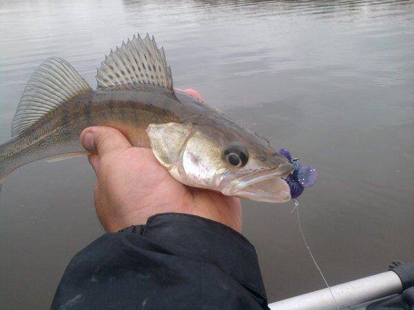 5607b8845cfd8_0807.thumb.jpg.baa5fc0dea6