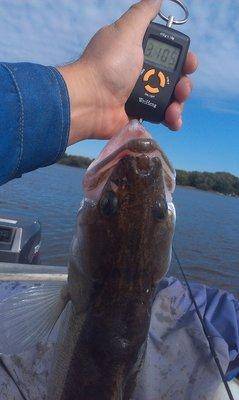 IMAG0365.thumb.jpg.72789d3af6756a060620a