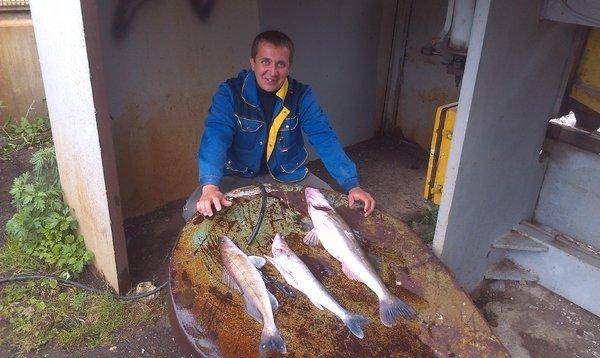 IMAG0377.thumb.jpg.af1337855258e76d30ec2