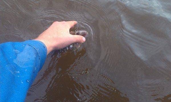 IMAG0380.thumb.jpg.2dd2a001c777d2a5855fc