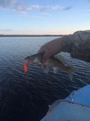 IMG_0874.thumb.JPG.6e8f2dfd37ba13e292004