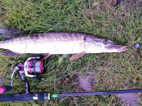 IMG_20150923_183340.thumb.jpg.f0e213e713