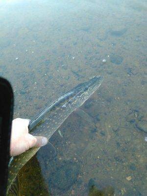 IMG_20150923_183413.thumb.jpg.a098851f3c