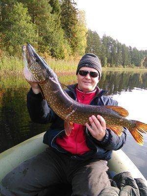 IMG_20150924_095142.thumb.jpg.57ab50aa01