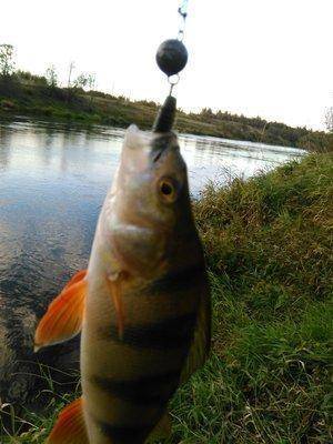 IMG_20150930_172338.thumb.jpg.cc8b288986