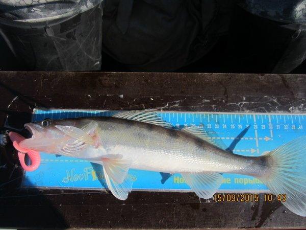 IMG_6376.thumb.JPG.028b1ab4f5e0878d0949d