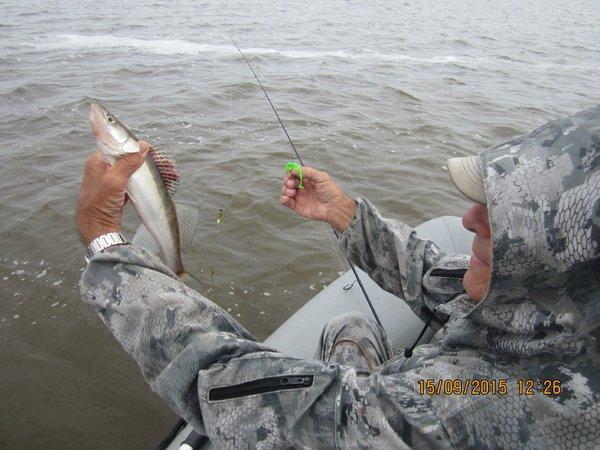 IMG_6381.thumb.JPG.8bcc084cbb3a22864dbab