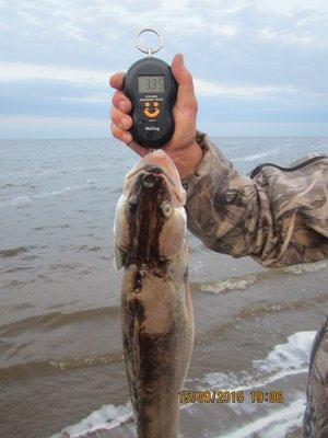 IMG_6390.thumb.JPG.eea4a3436f3ff64fa38cc