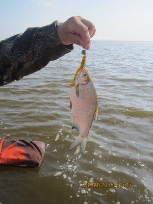 IMG_6433.thumb.JPG.3dbedf017ce09a4cf8ad7