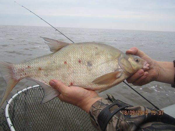 IMG_6442.thumb.JPG.4beca0889af93df7c2aff