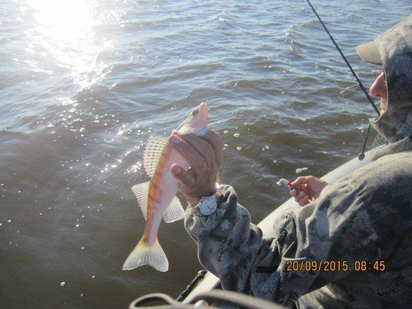 IMG_6447.thumb.JPG.d6d02e5f4c7e1e4f8a424