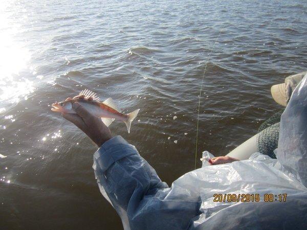 IMG_6448.thumb.JPG.1304c06850ebf5712b5e2