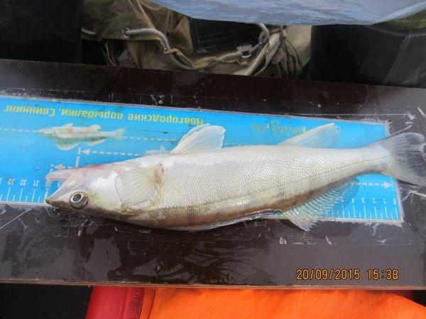 IMG_6466.thumb.JPG.458abf5e824f92024b3a6