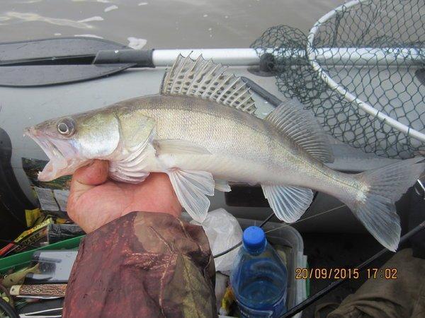 IMG_6480.thumb.JPG.86cbae14d82c0e9b1579d