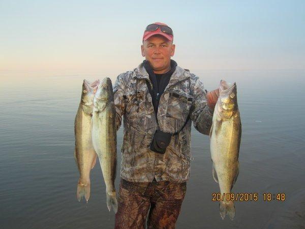 IMG_6489.thumb.JPG.4c60e2ea91353b0b90ea7