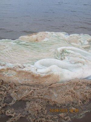 IMG_6541.thumb.JPG.b0579af85263d1277f553