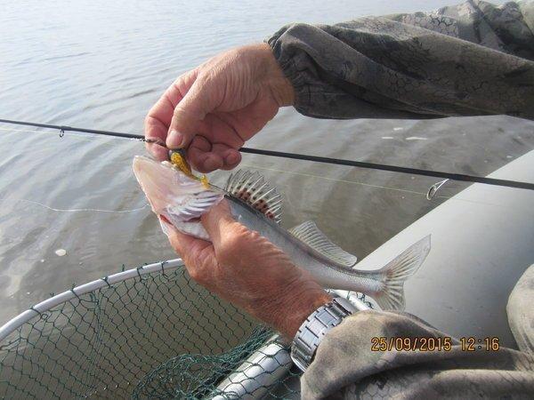 IMG_6543.thumb.JPG.18b19a60cf57d30865724