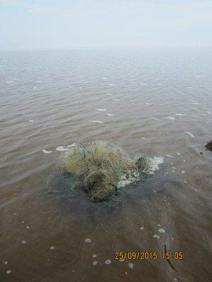 IMG_6548.thumb.JPG.2efdc6f857367b19f959a