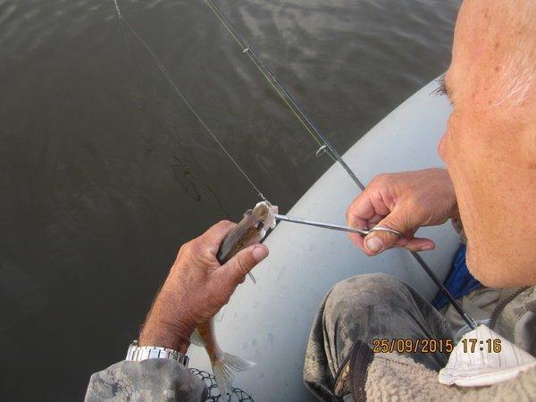 IMG_6550.thumb.JPG.c6857742ebcd324f80559