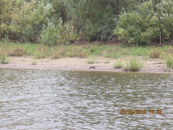 IMG_6571.thumb.JPG.f8cdc27eee33529b4b294