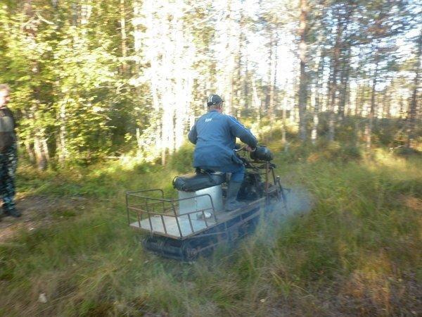 P1010692.thumb.JPG.5c7ef58b2c68ebbe39776