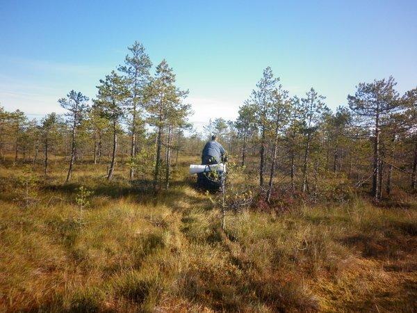 P1010693.thumb.JPG.8a442efcf649bfe75cac3