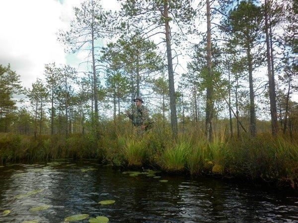 P1010705.thumb.JPG.b7756246160839eea4d2a