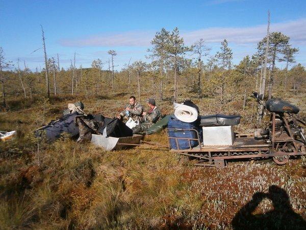 P8310387.thumb.JPG.927476bf211cf70e8a913